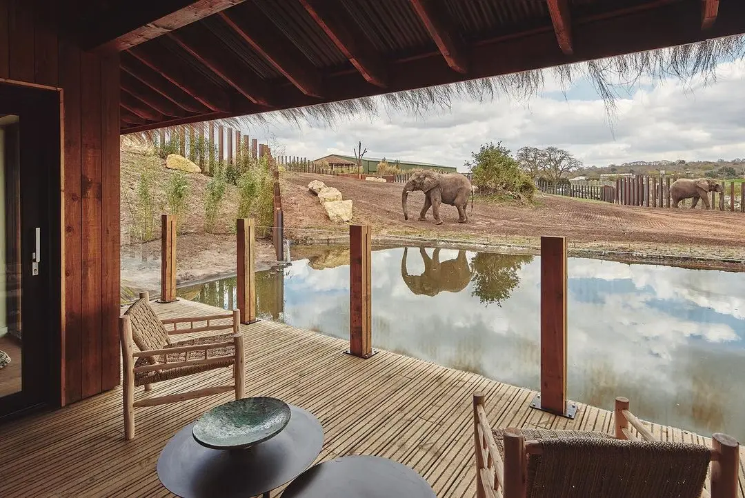 olifant