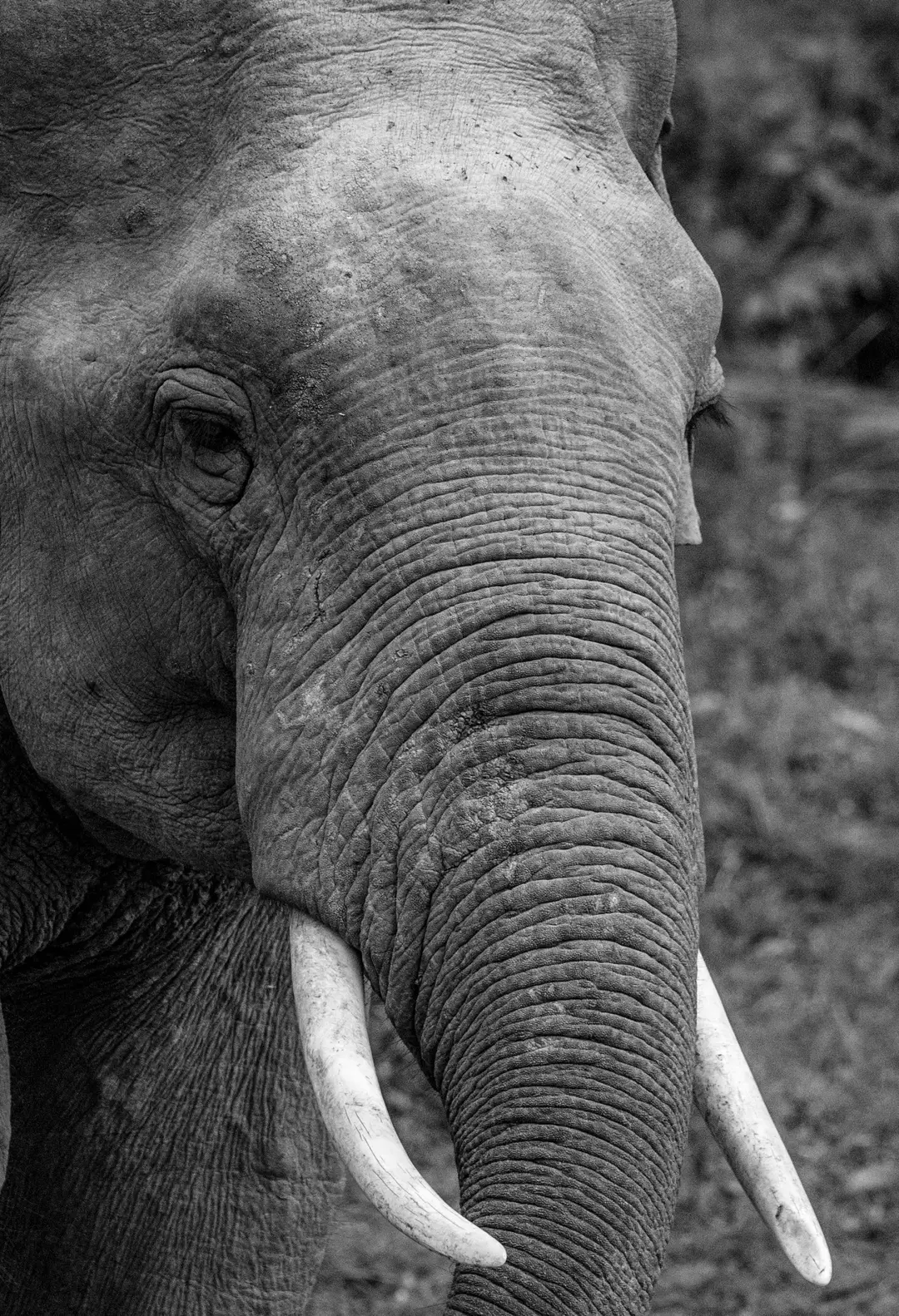 pexels nadexriotic 3565117 scaled