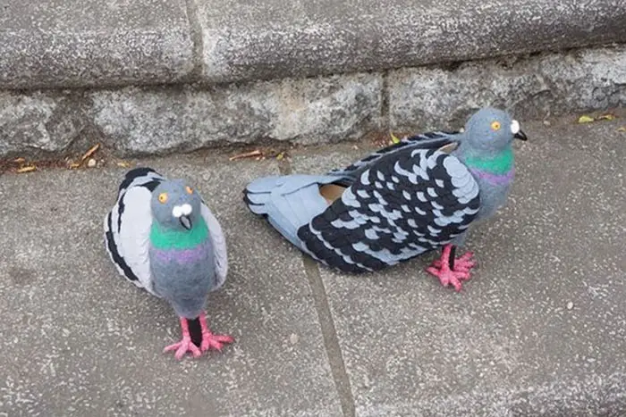 pigeon shoes japanese woman 8
