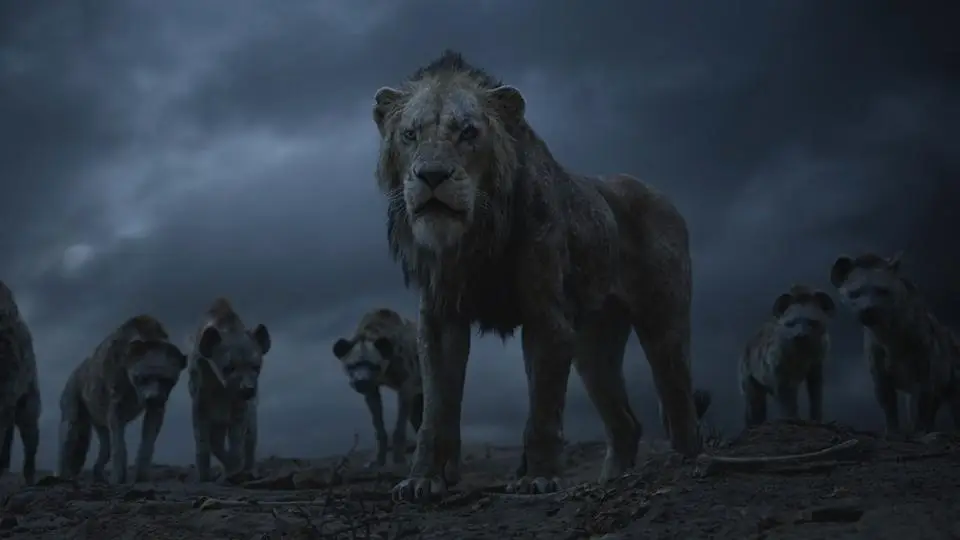 scar
