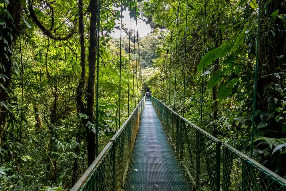 selvatura park