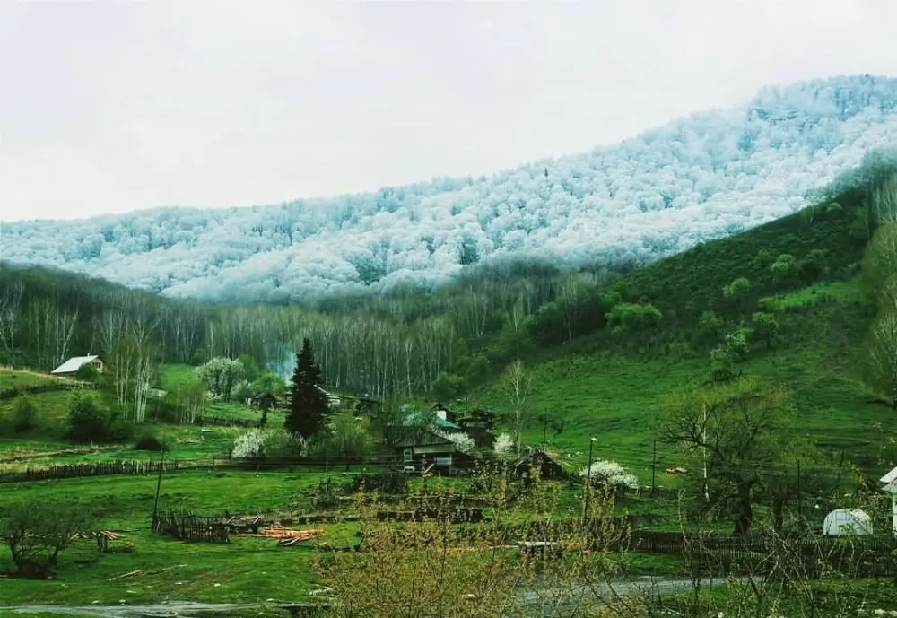 sneeuw
