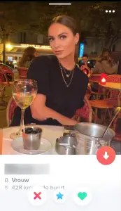 tinder 13 173x300