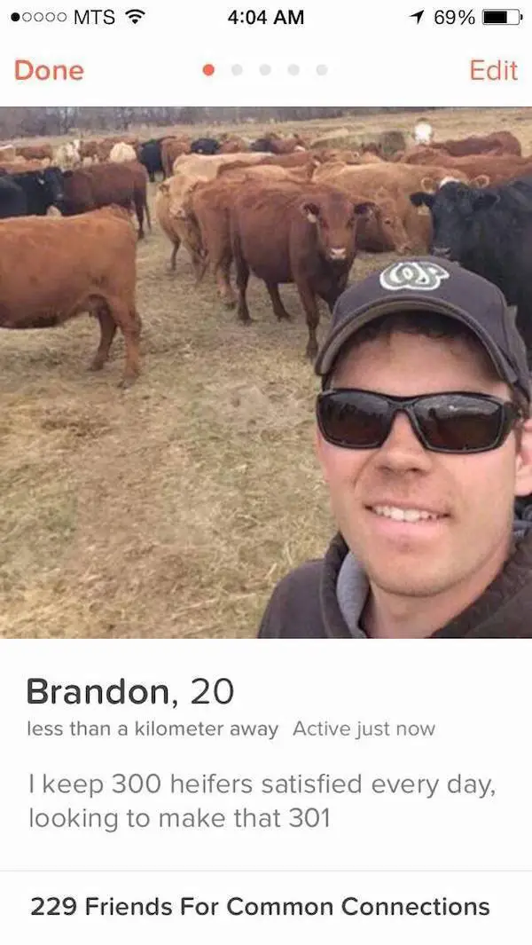 tinder profiles wtf 640 high 07