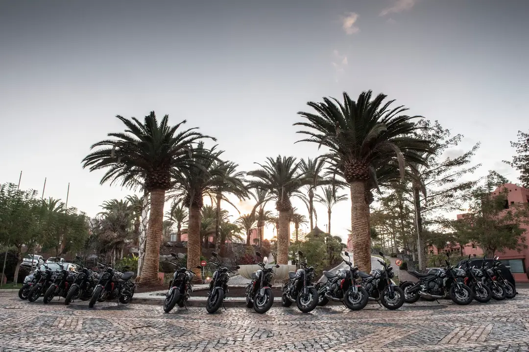 triumph trident fhm19