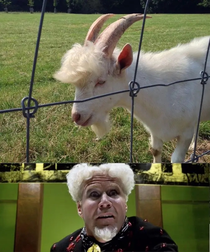 wwib 20