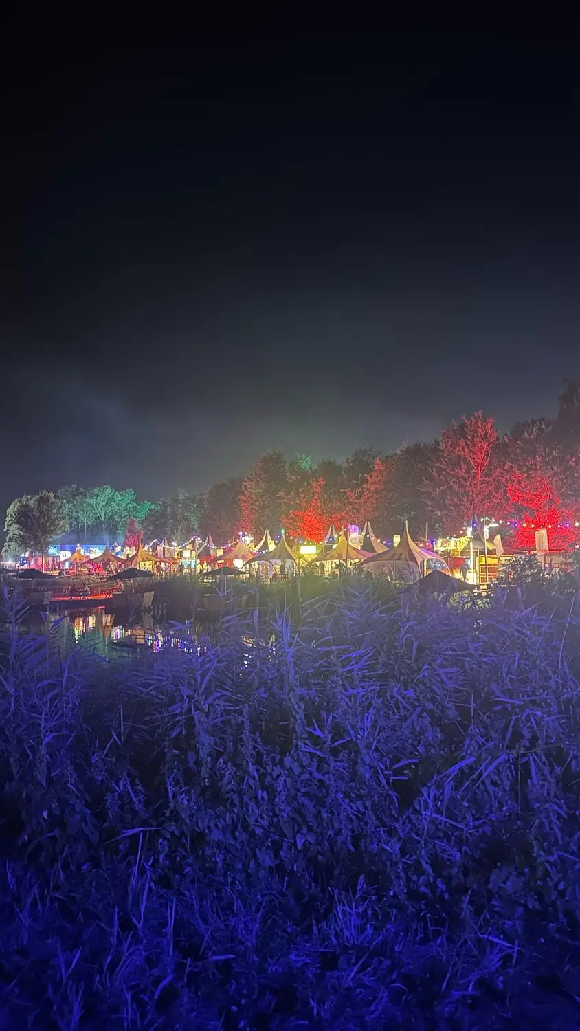 Lowlands at night.