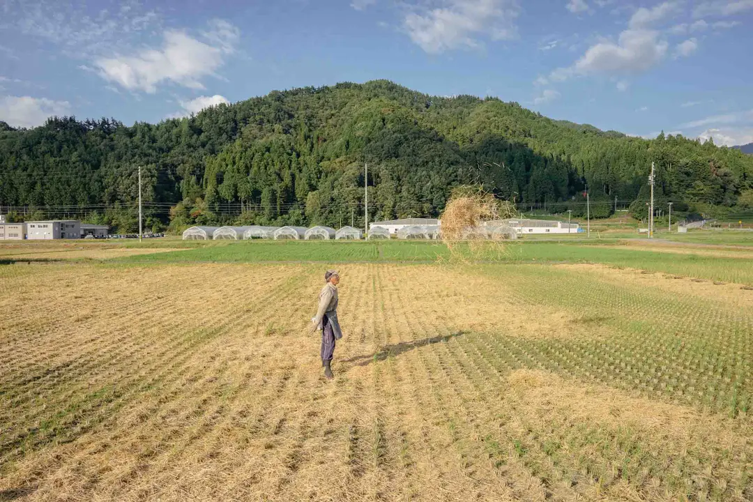hokuriku japan cr web 04782