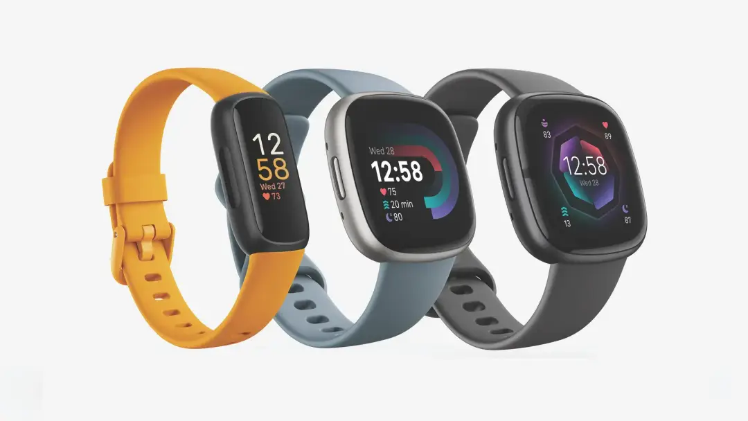 fitbit2