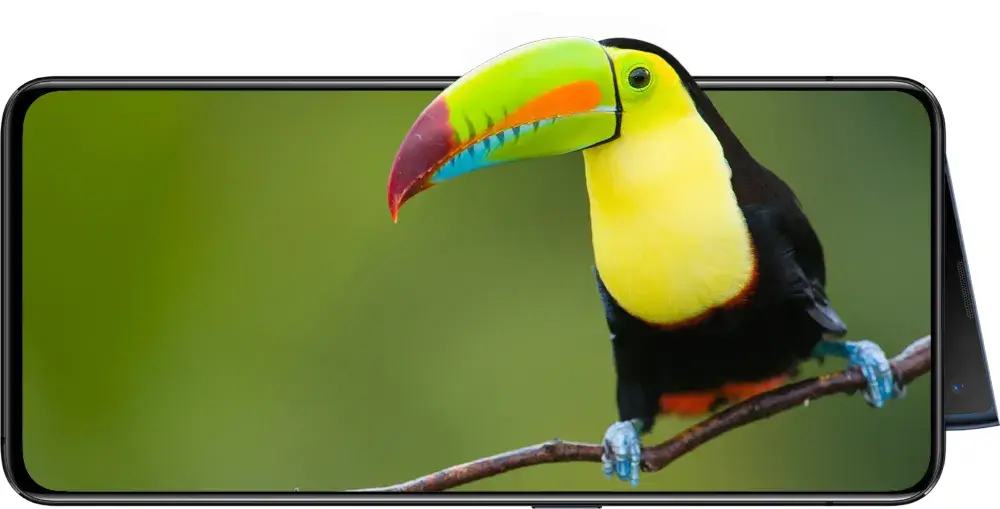 oppo reno 2 frontal