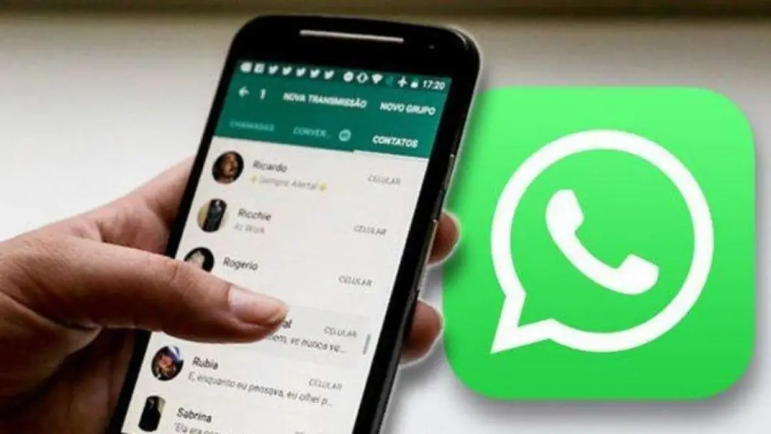 1004908 whatsapp