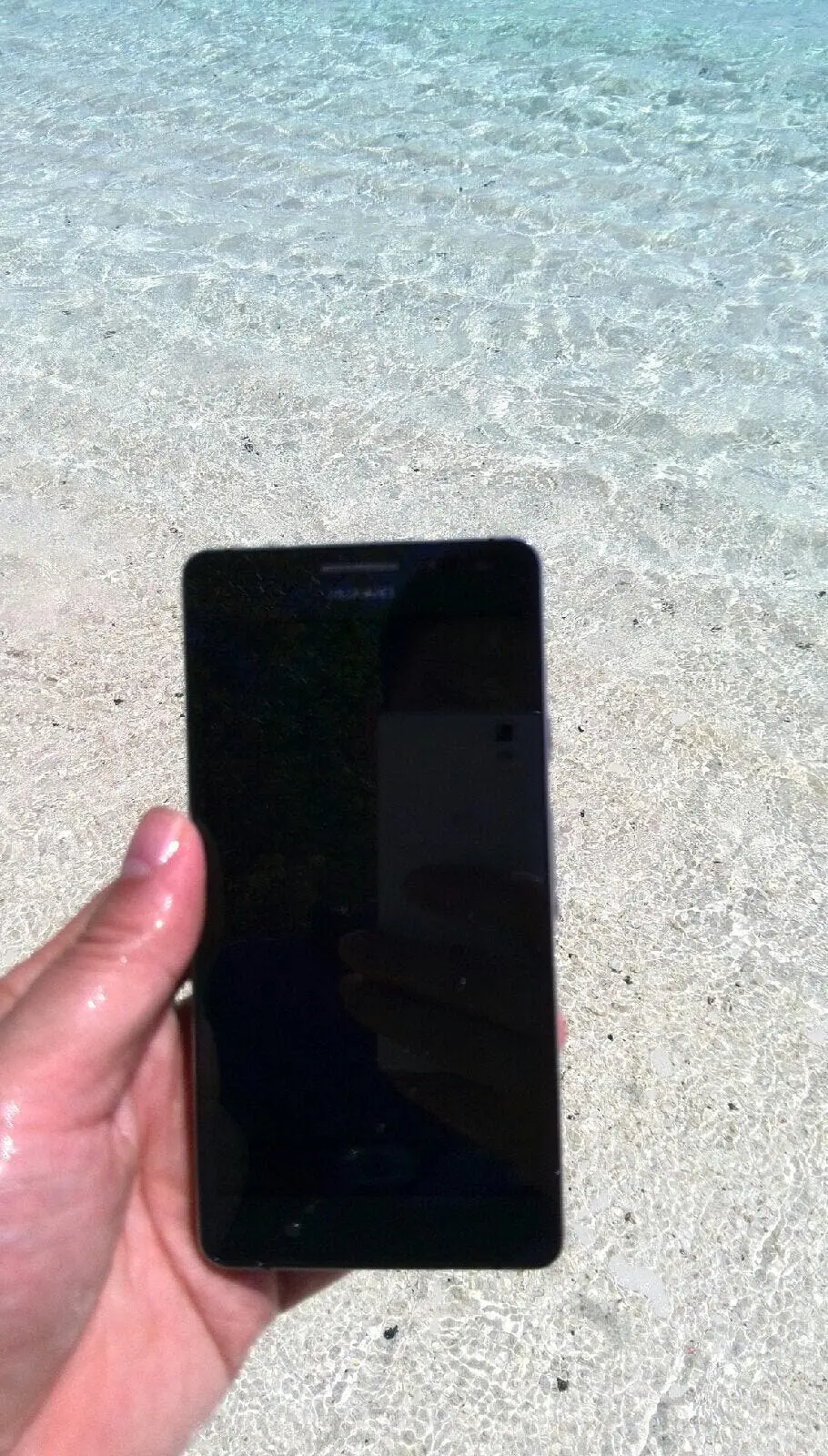 1857040844930353