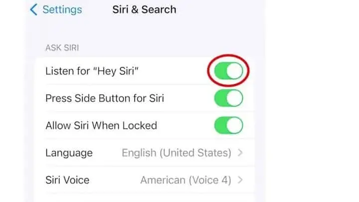 3 siri gfx