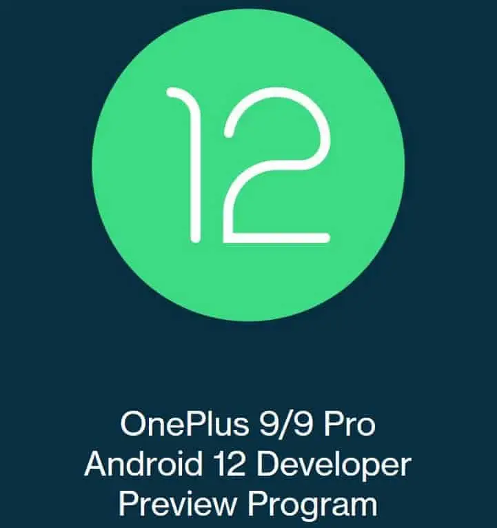 android 12 developer preview 2 for oneplus 9 and oneplus 9 pro
