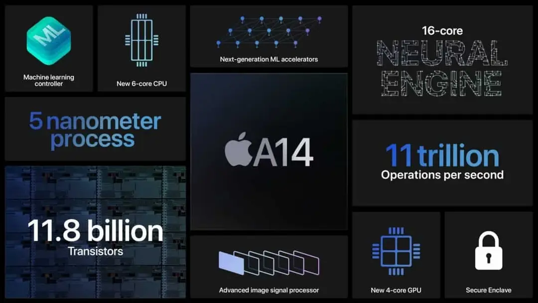 apple 1