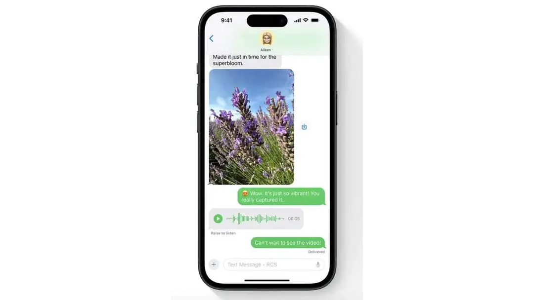 apple rcs 2