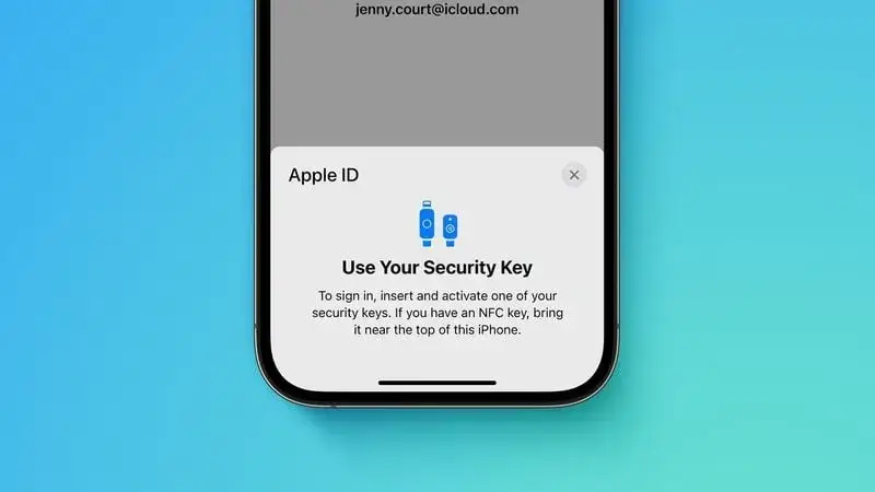 apple store b
