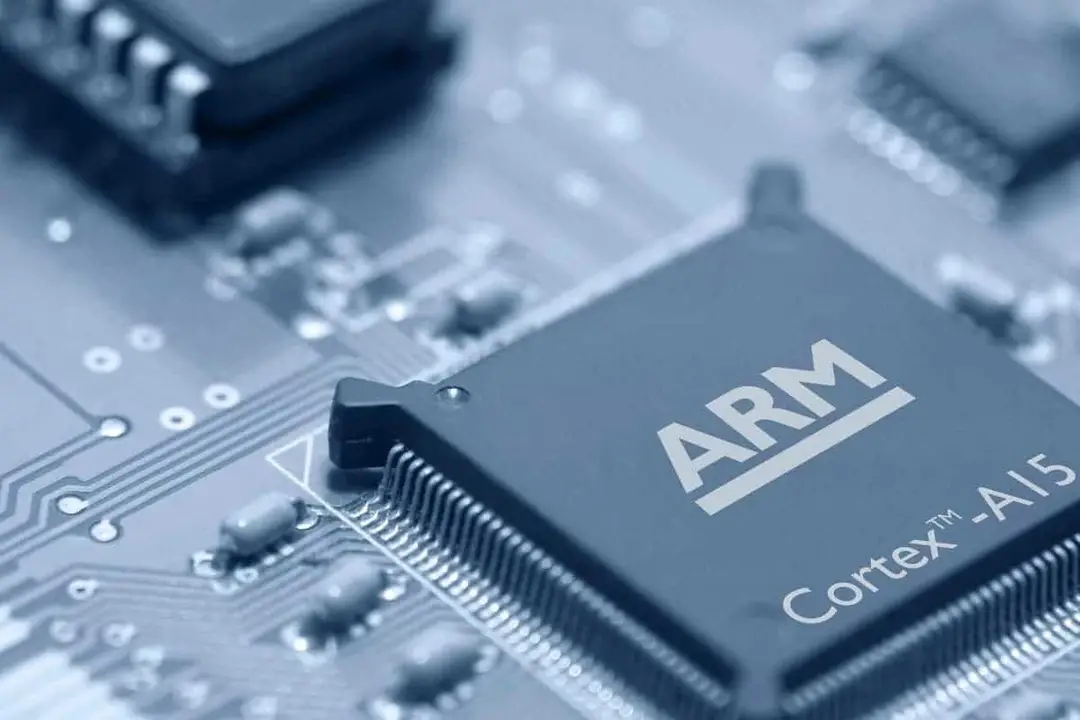 arm