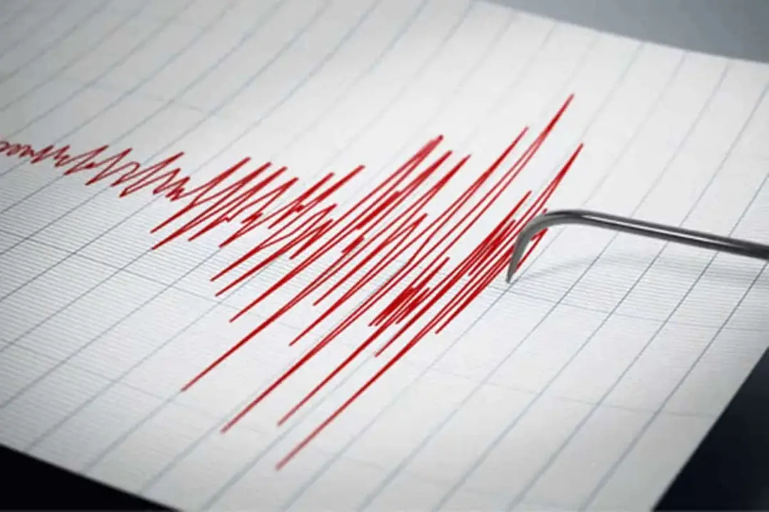 auckland fibre network earthquake detection