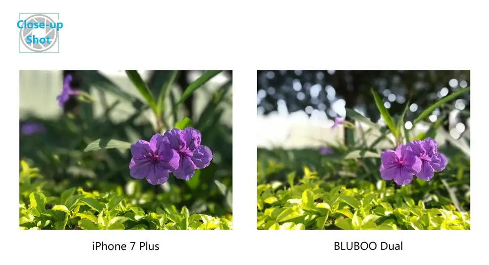 blu 4 3