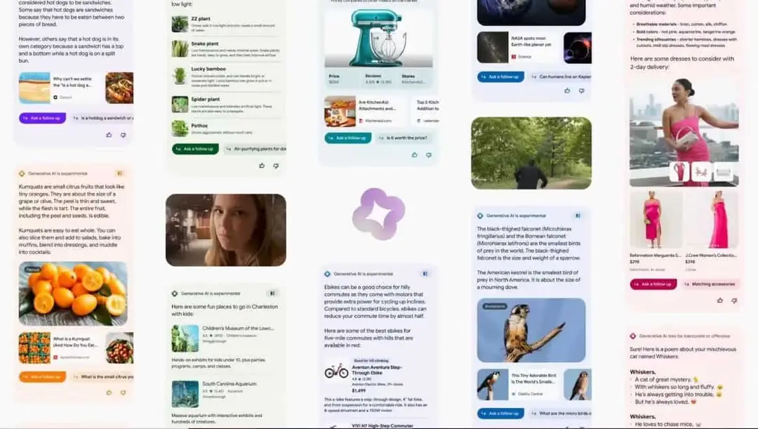 capture 1