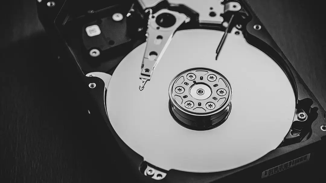 denny muller 1ql31aacapa unsplash