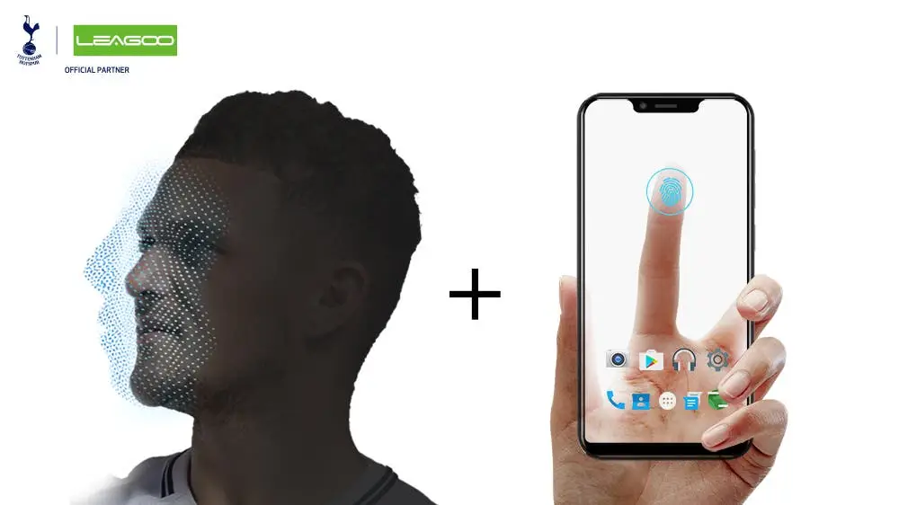 dftgert