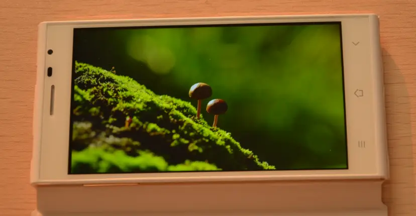 display 4
