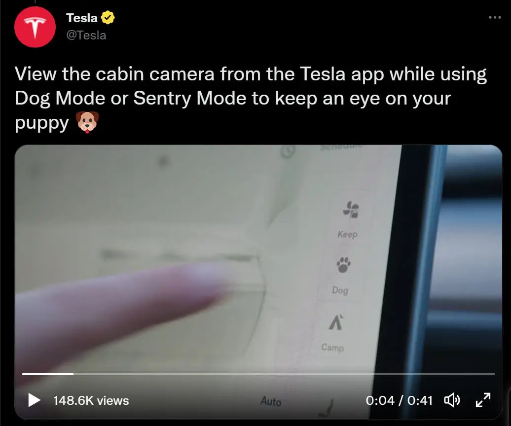 dog mode on tesla