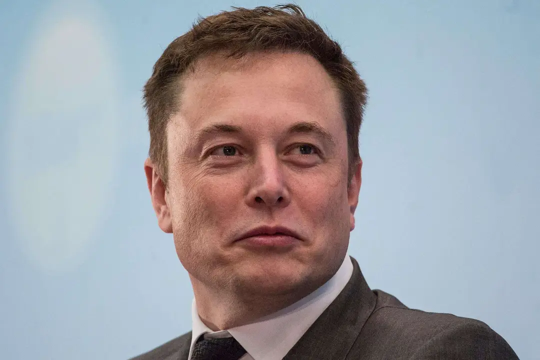 elon musk 2