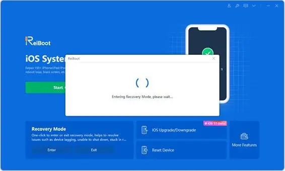 enter recovery mode for boot loop