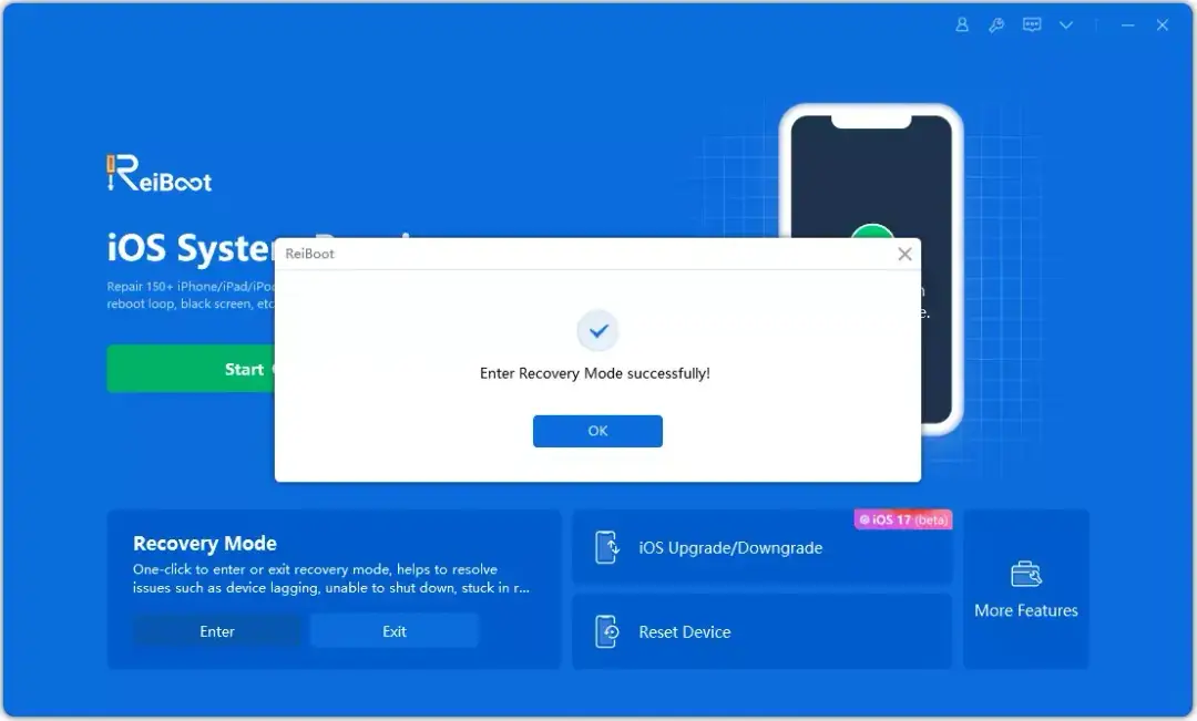 enter recovery mode for fixing iphone frozen screen