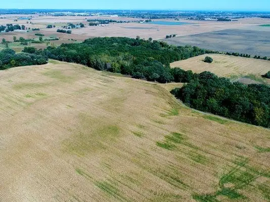 foxconn land b