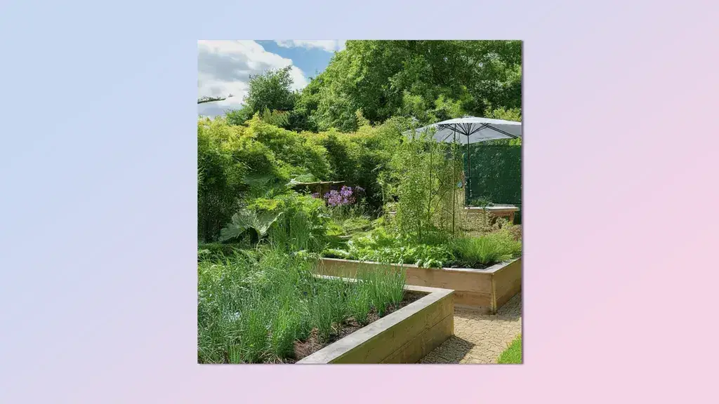garden
