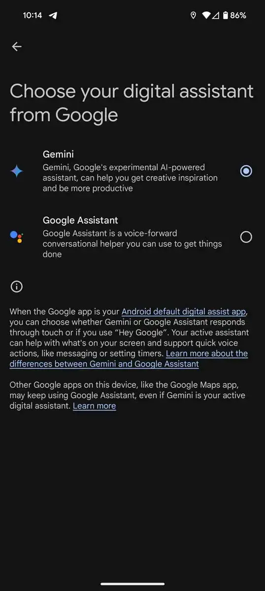 gemini assistant1