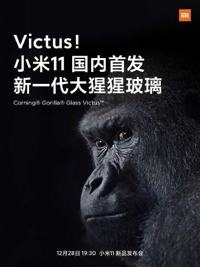 gorilla glass b