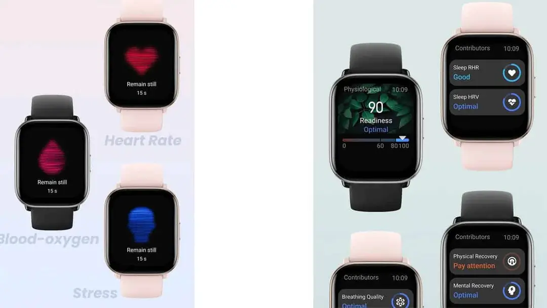 health and fitness features