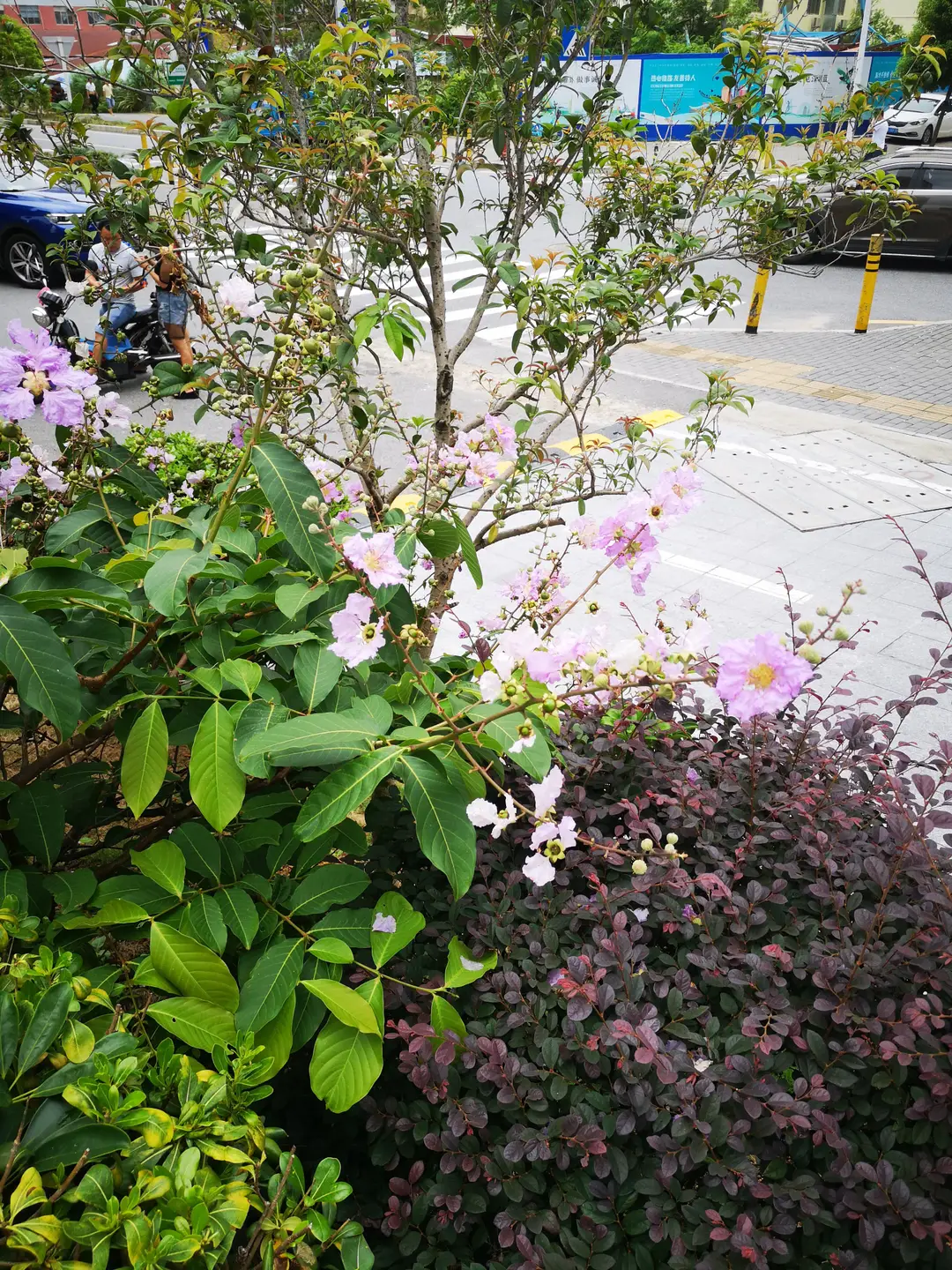 huawei p20 5