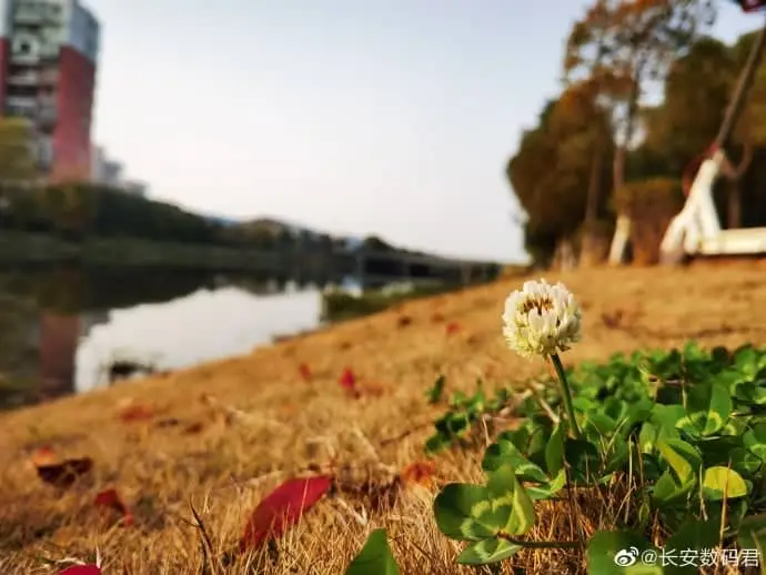huawei p40 series b