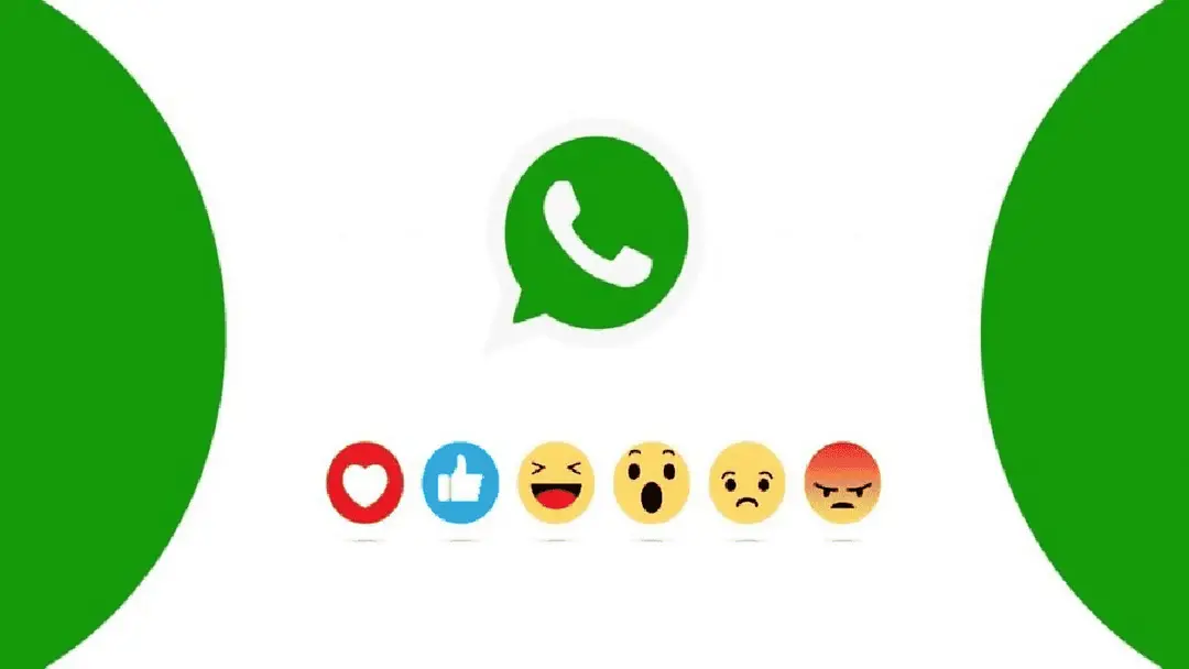 imagem 2022 05 06 155142066