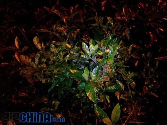 img 20130825 115718