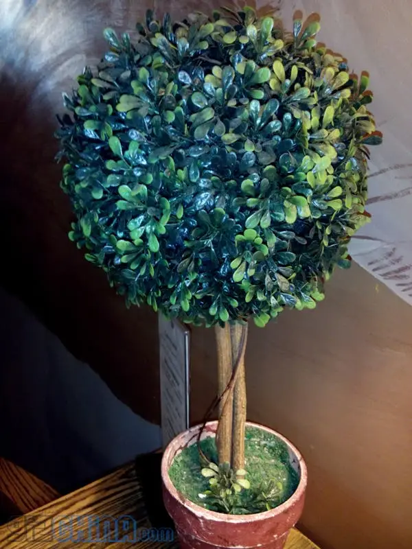 img 20131028 113910