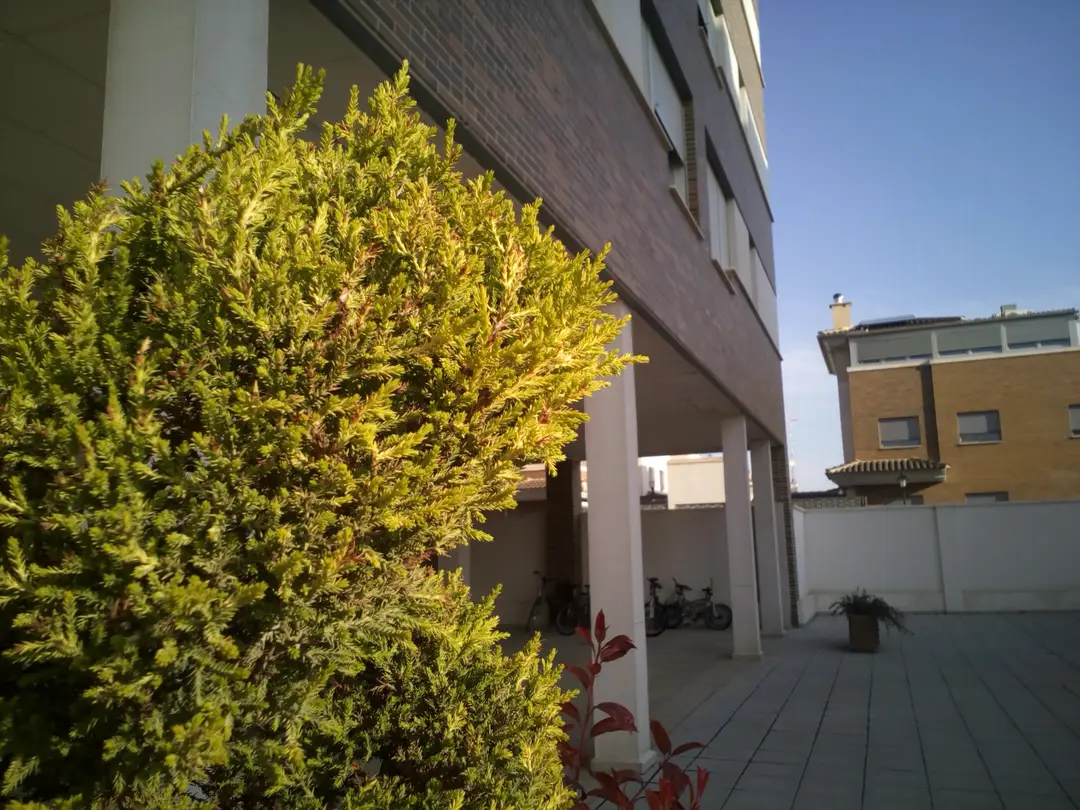 img 20150410 072638