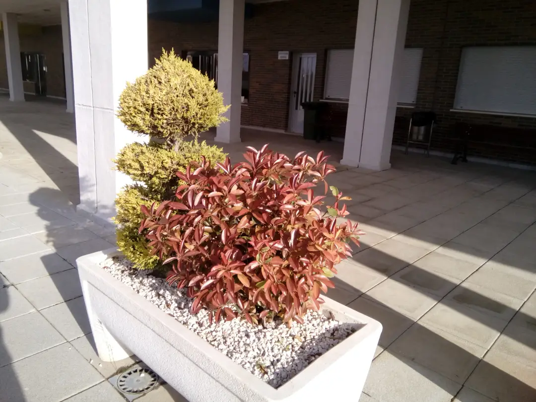 img 20150417 071747