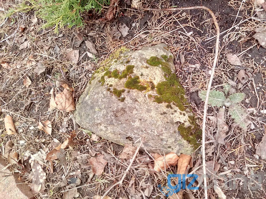 img 20170328 164346