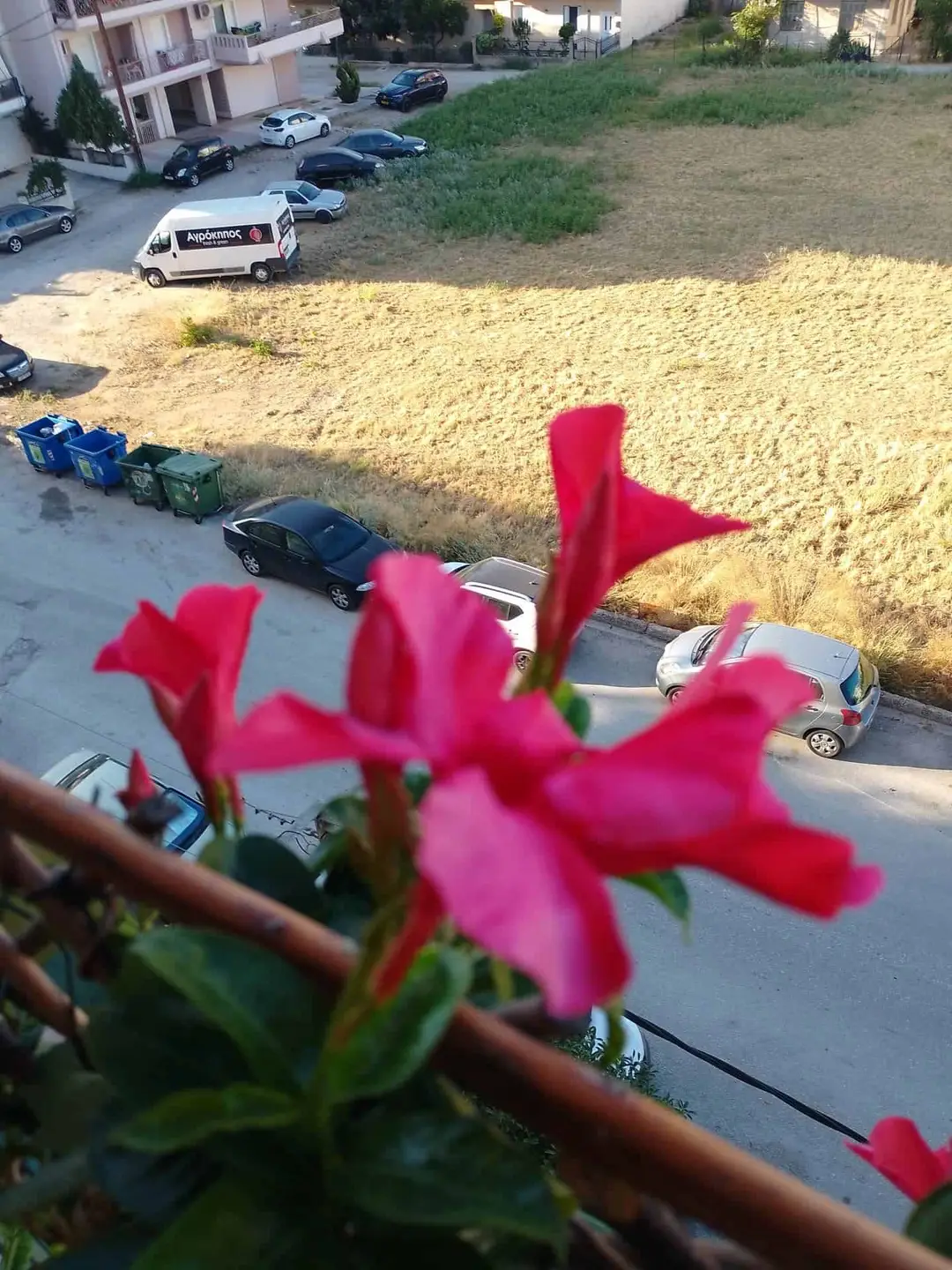 img 20230727 190805