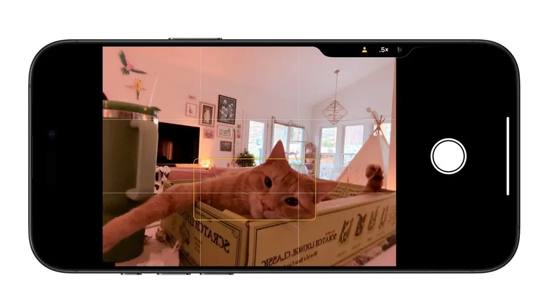 ios 18 camera control