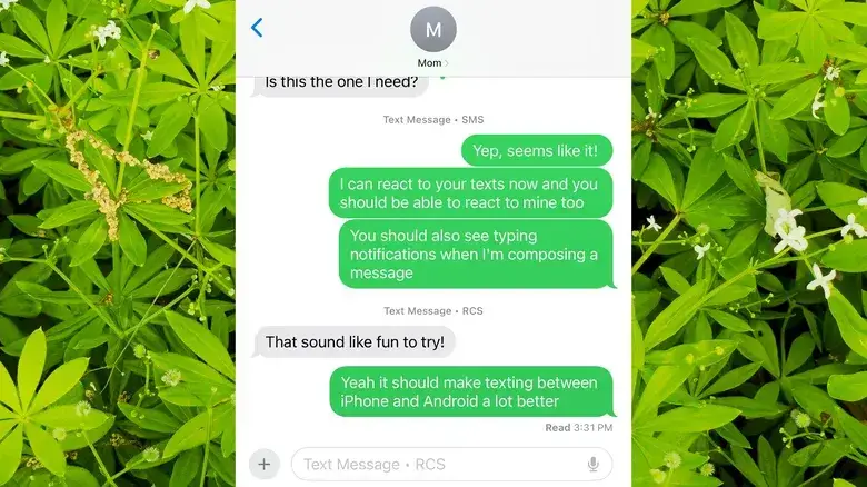 iphone rcs3