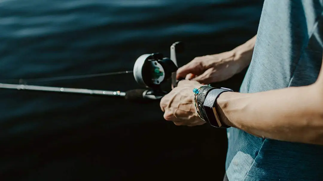 kelly sikkema 5sgrl2ffgec unsplash