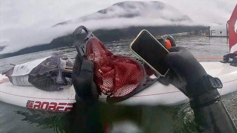 lake d